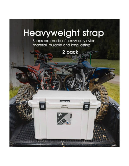 Kit de Sujeción para Enfriadores ALIENSX TD841 - 2 Correas Nylon