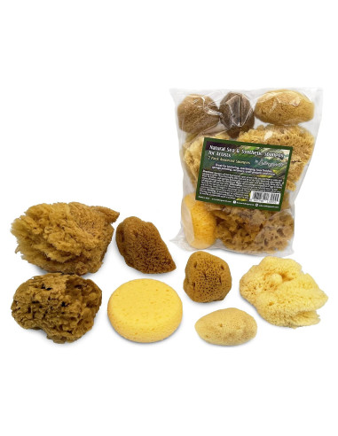 Esponjas Marinas Naturales y Sintéticas Lullingworth - 7 Piezas