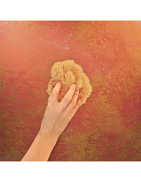 Esponjas Marinas Naturales y Sintéticas Lullingworth - 7 Piezas Esponjas Marinas Naturales y Sintéticas Lullingworth - 7 Piezas