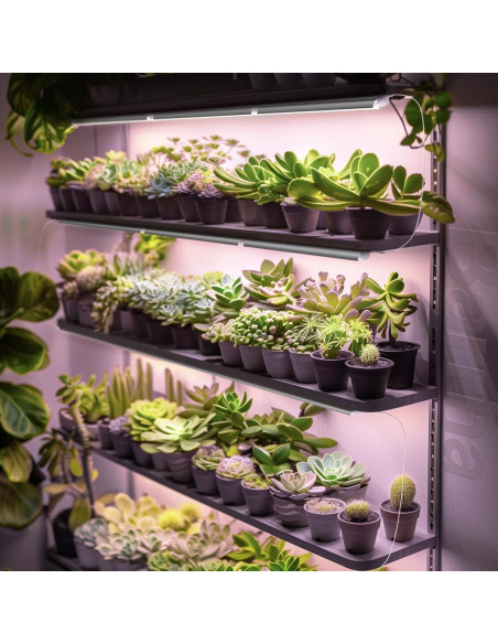 Barrina Luz de Cultivo LED 2FT Espectro Completo 144W - 6 Unidades