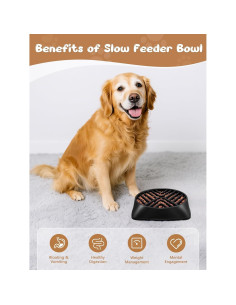 Cuenco de Comida Lenta KASBAH para Perros Grandes 5 Tazas 2