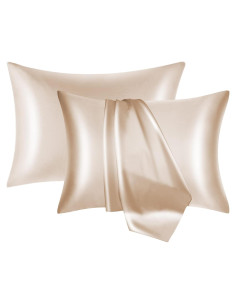 Funda de Almohada de Seda NOLRDR 100% 19 Momme Estándar 66x51cm