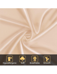 Funda de Almohada de Seda NOLRDR 100% 19 Momme Estándar 66x51cm 2