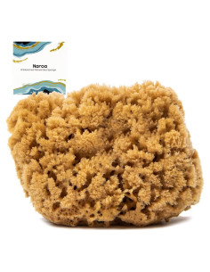Esponja de Ducha Natural Naroa Pequeña | Puff Exfoliante Sin Plástico