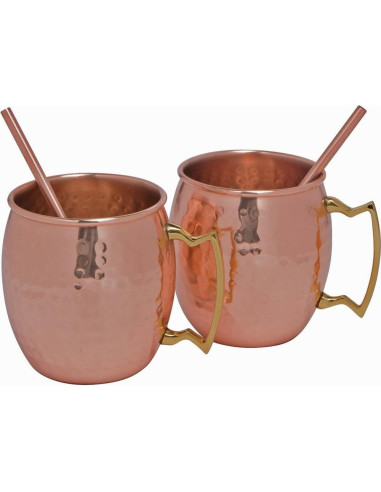 Popotes Reutilizables de Cobre Modern Home - 21.6 cm - Juego de 2