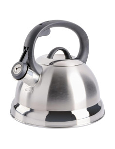 Tetera Silbante de Acero Inoxidable Mr. Coffee 1.65L Flintshire