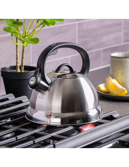 Tetera Silbante de Acero Inoxidable Mr. Coffee 1.65L Flintshire