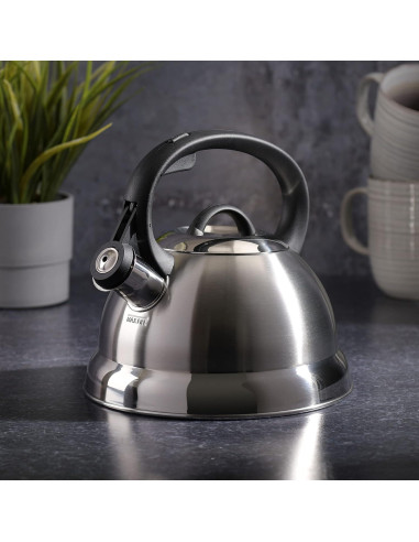 Tetera Silbante de Acero Inoxidable Mr. Coffee 1.65L Flintshire