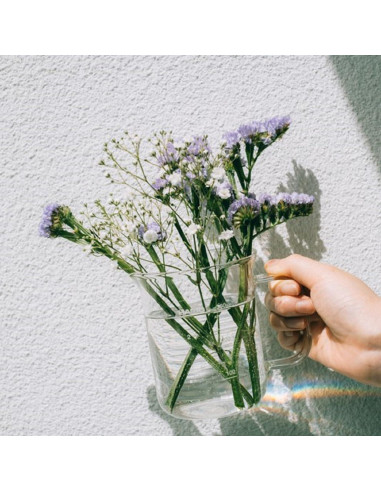 Servidor de Café Hario Beaker 300ml Vidrio Resistente