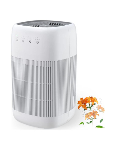 Purificador de Aire y Deshumidificador 2 en 1 Afloia Q10