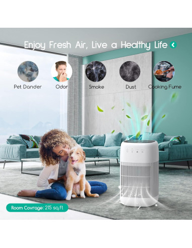 Purificador de Aire y Deshumidificador 2 en 1 Afloia Q10