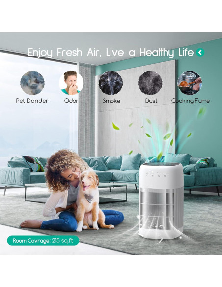 Purificador de Aire y Deshumidificador 2 en 1 Afloia Q10 Purificador de Aire y Deshumidificador 2 en 1 Afloia Q10