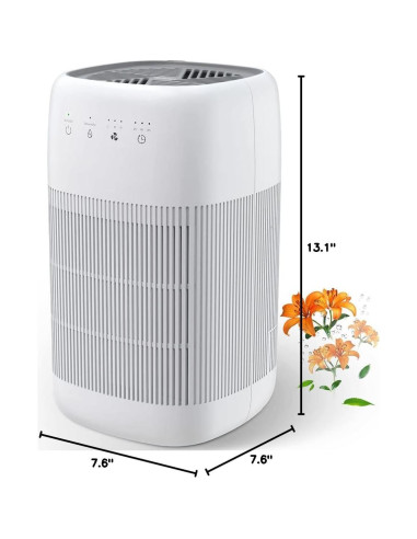 Purificador de Aire y Deshumidificador 2 en 1 Afloia Q10