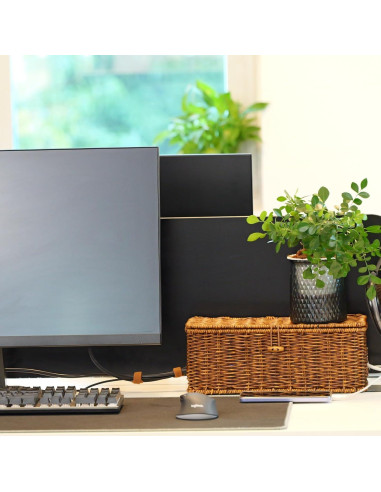 Caja de Gestión de Cables Brownlily Madera Ratan 33x13 cm