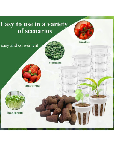 Kit de 40 Esponjas Hidropónicas Esamploe para Jardín Interior