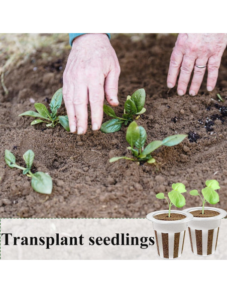 Kit de 40 Esponjas Hidropónicas Esamploe para Jardín Interior