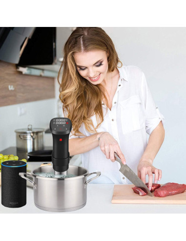 Fityou Sous Vide Cooker 1100W Acero Inoxidable Preciso