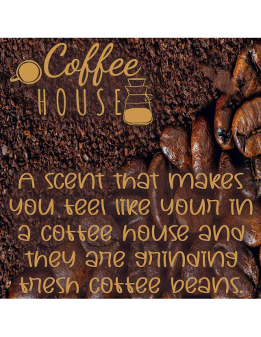 Ambientador de Auto Ooog Boog Casa de Café - Larga Duración