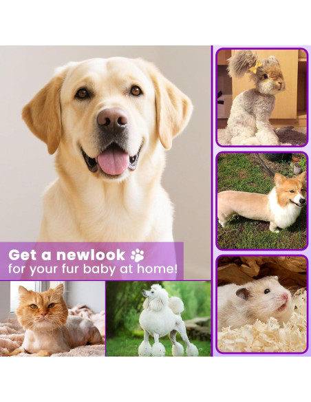 Recortador de patas de perro Veeconn T6 4 en 1 impermeable