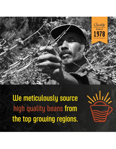 Café en Grano San Diego, Mezcla de Desayuno Tostado Medio 454g