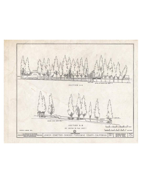 Mapa Vintage Tumbas Cementerio Judío Sonora 50.8x40.6cm