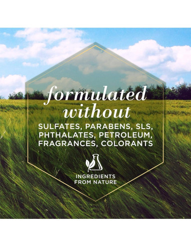 Limpiador de Oídos para Perros Burt's Bees 118 ml Natural