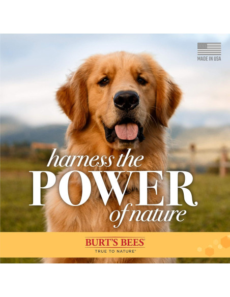 Limpiador de Oídos para Perros Burt's Bees 118 ml Natural