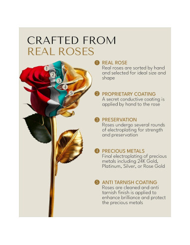 Rosa Eterna 24K Baño de Oro Rosa Real en Jarrón Corazón