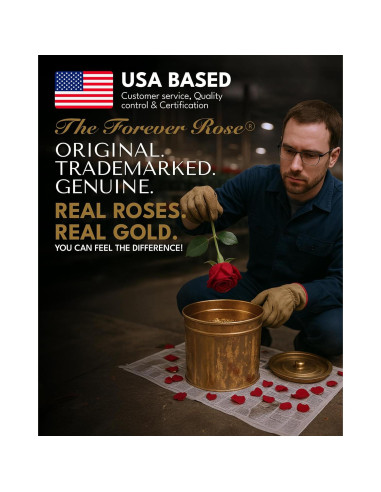 Rosa Eterna 24K Baño de Oro Rosa Real en Jarrón Corazón