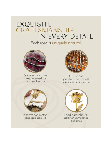 Rosa Eterna 24K Baño de Oro Rosa Real en Jarrón Corazón