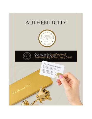 Rosa Eterna 24K Baño de Oro Rosa Real en Jarrón Corazón