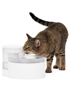 Fuente de Agua Sin Bomba PetSafe Outlast 1.7L para Gatos