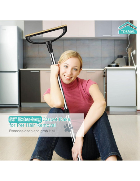 Rastrillo para Alfombras TOSMAL Ajustable 63.5-142 cm