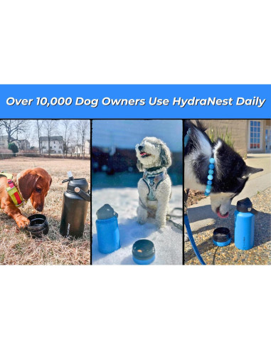 Botella de Agua Aislada HydraNest 0.82L para Perros - Acero Inoxidable