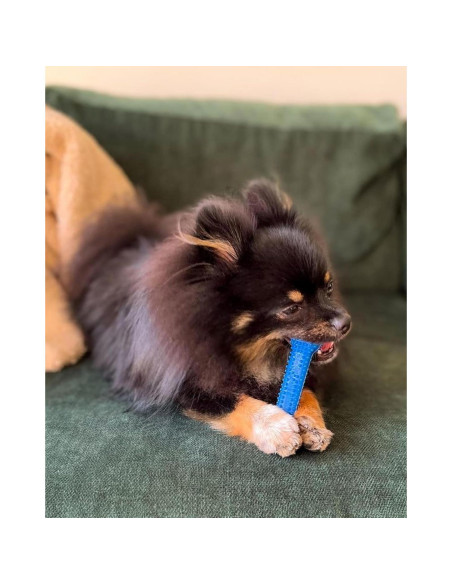 Juguete Dental Nylabone Flexi Chew Sabor Pollo Pequeño