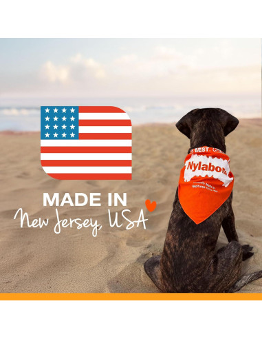 Juguete Dental Nylabone Flexi Chew Sabor Pollo Pequeño