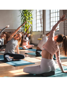 Bloques de Yoga Firefly Athletics EVA Alta Densidad Azul 2