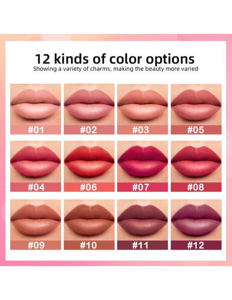 Conjunto de Lápiz Delineador de Labios Mate CAKAILA 12 Colores