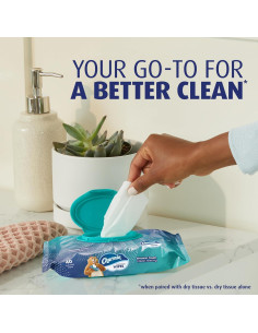 Toallitas Flushable Charmin 160 Unidades - 4 Paquetes de 40 2