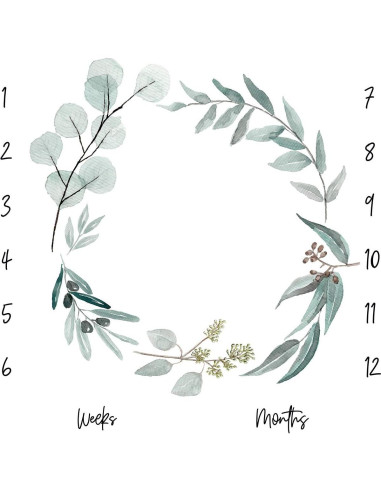 Manta de Hitos Mensual Orgánica Miaoberry Eucalipto 119 cm