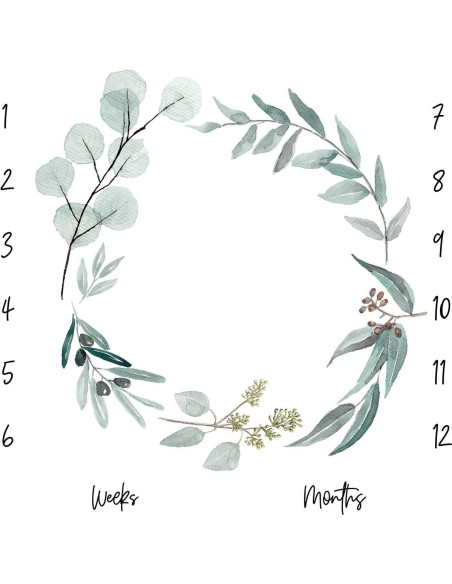 Manta de Hitos Mensual Orgánica Miaoberry Eucalipto 119 cm