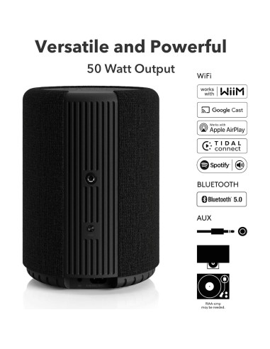 Altavoz Inalámbrico Audio Pro A10 MKII WiiM 50W Bluetooth WiFi