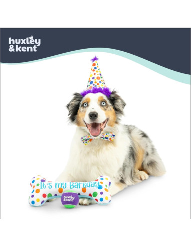Sombrero de Fiesta Huxley & Kent para Perros y Gatos - Pequeño