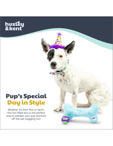 Sombrero de Fiesta Huxley & Kent para Perros y Gatos - Pequeño