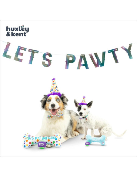 Sombrero de Fiesta Huxley & Kent para Perros y Gatos - Pequeño