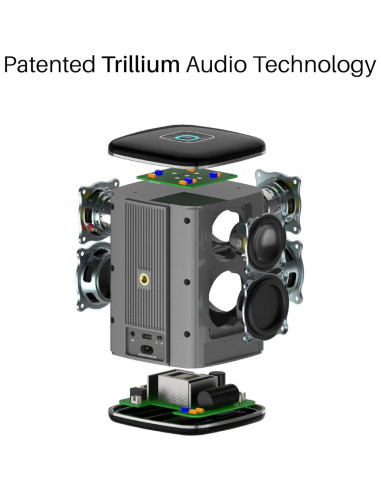 Altavoz RIVA Arena Hi-Fi Bluetooth 50W Multiroom Negro