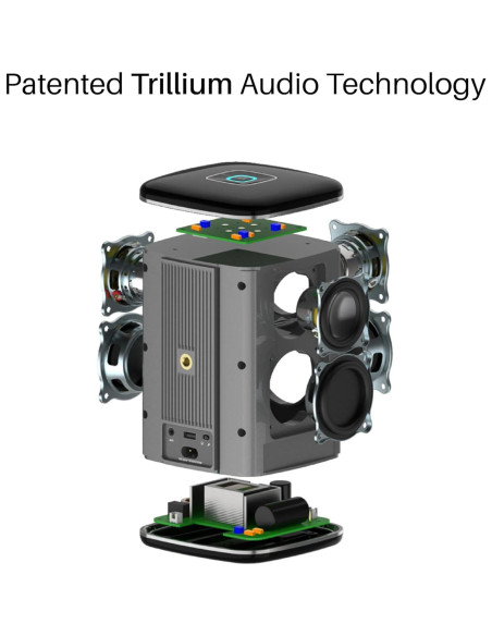 Altavoz RIVA Arena Hi-Fi Bluetooth 50W Multiroom Negro Altavoz RIVA Arena Hi-Fi Bluetooth 50W Multiroom Negro