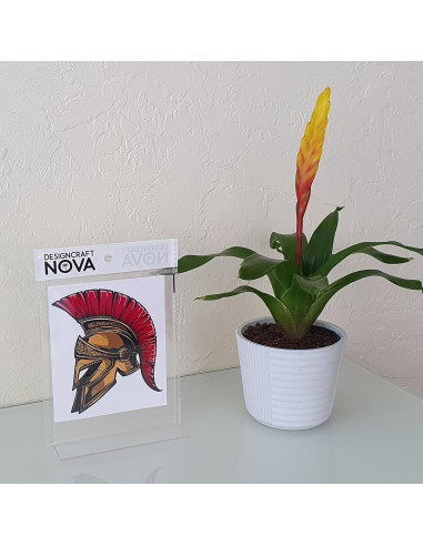 Calcomanía Casco Espartano Guerrero Vinilo 10x12 cm