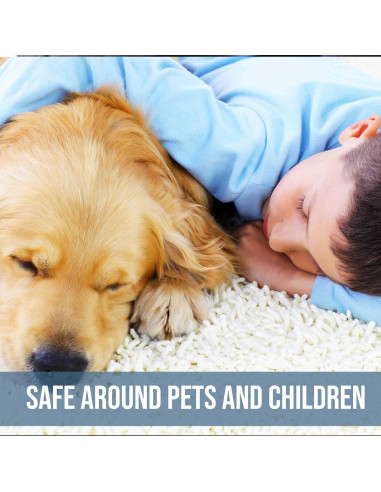 Desengrasante Profesional para Alfombras CarpetGeneral 18.93L