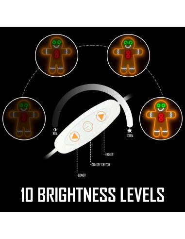 Letrero de Neón LED Hombre de Jengibre 38x31.5 cm Geeinar